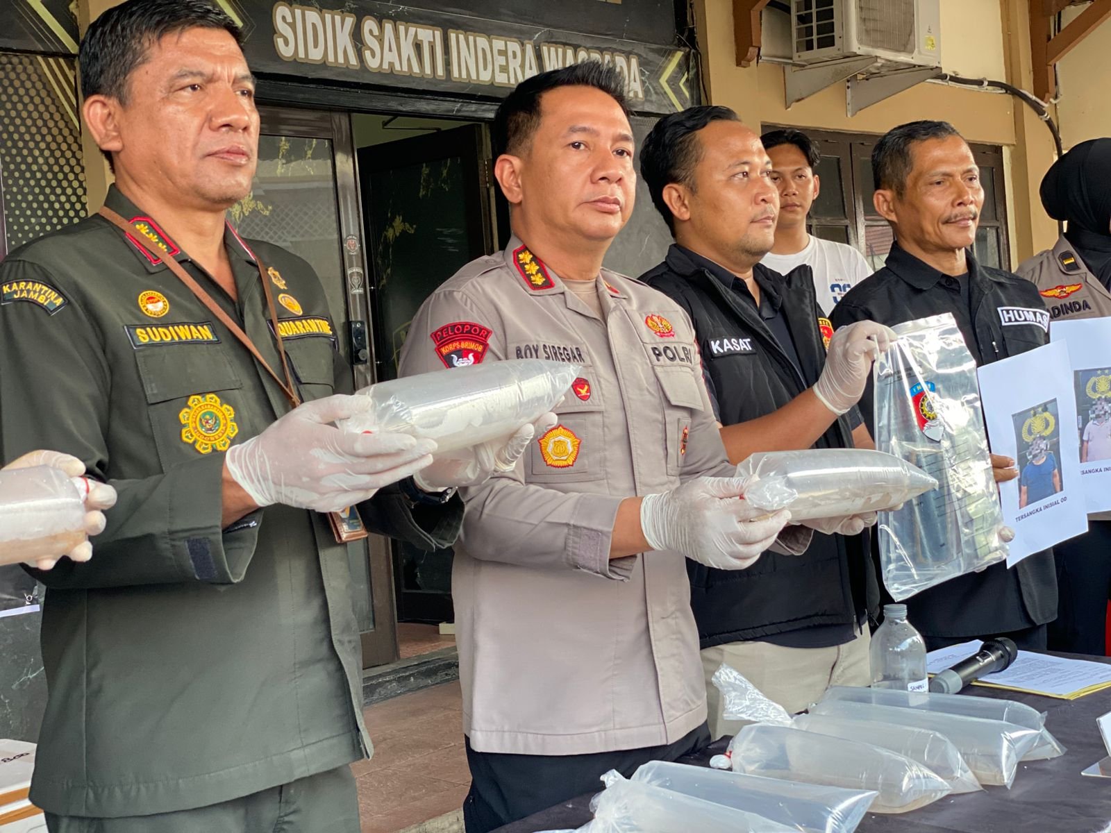 Hendak Dikirim ke Riau, Puluhan Ribu Benih Lobster Ilegal Disita di Jambi